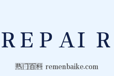 REPAIR是什么意思的图片